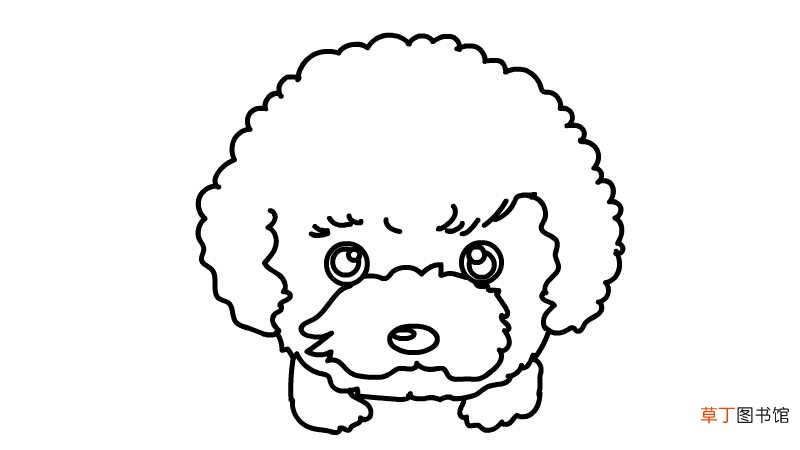卷毛狗简笔画 卷毛狗简笔画怎么画