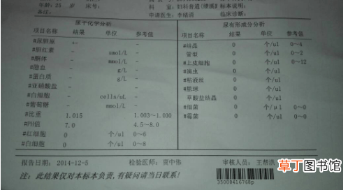 潜血1个＋是什么意思-潜血1个＋怎么回事