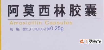 治肺炎最好的消炎药-最好的治肺炎消炎药