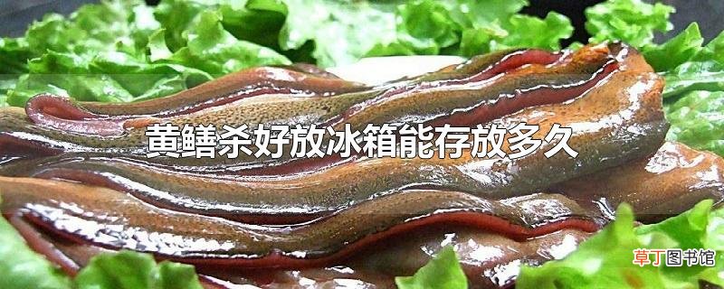 黄鳝杀好放冰箱能存放多久