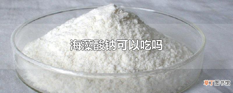海藻酸钠可以吃吗