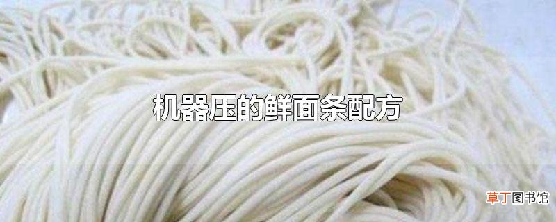 机器压的鲜面条配方