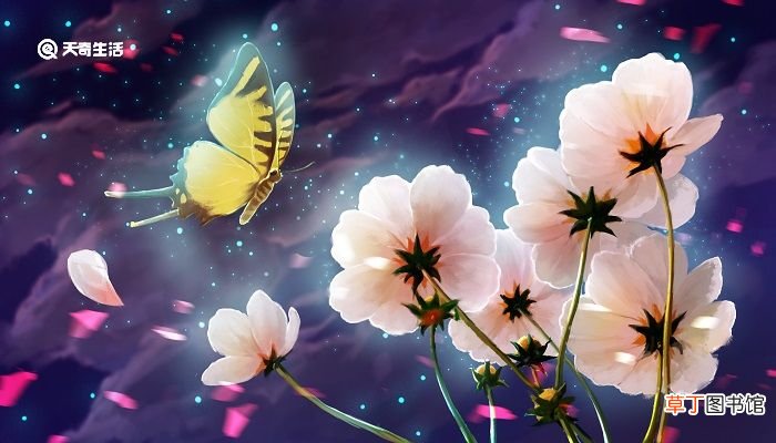 梨花初带夜月海棠半含朝雨的意思 见梨花初带夜月的意思