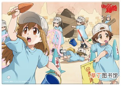 央视为什么不播日本动漫了 时隔14年央视再播日本动画
