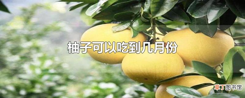 柚子可以吃到几月份