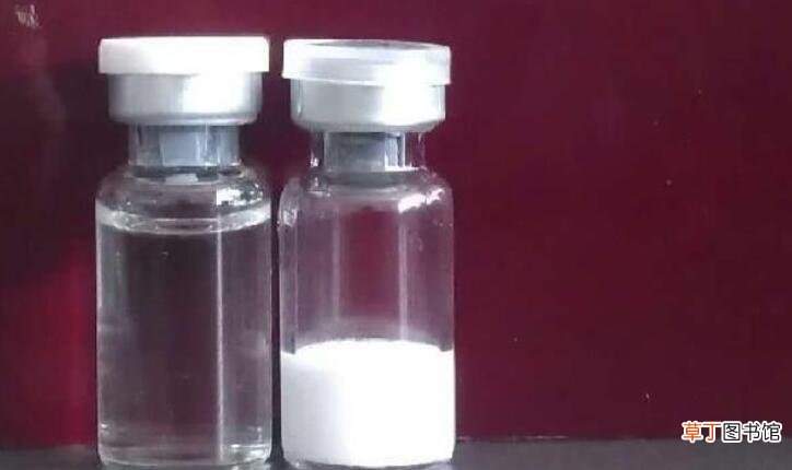 先用冻干粉还是爽肤水