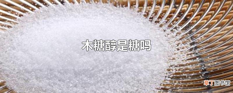 木糖醇是糖吗
