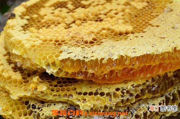岩蜂蜜的作用与功效 岩蜂蜜是怎样形成的
