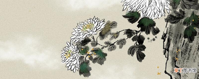 赠刘景文的意思 赠刘景文的诗意是什么