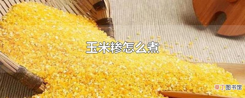玉米糁怎么煮