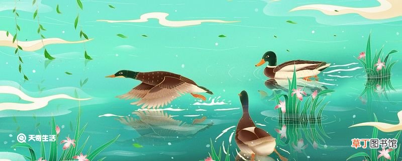 惠崇春江晚景中包含哲理的诗句是哪两句 惠崇春江晚景这首诗蕴含的哲理是什么