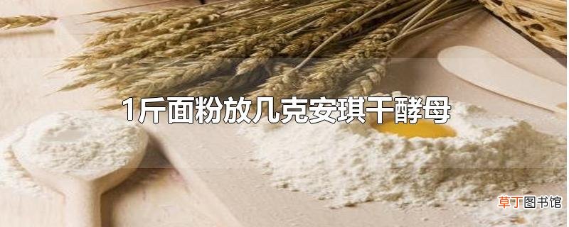 1斤面粉放几克安琪干酵母