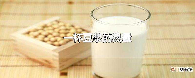 一杯豆浆的热量