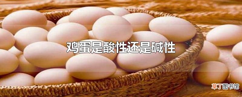 鸡蛋是酸性还是碱性