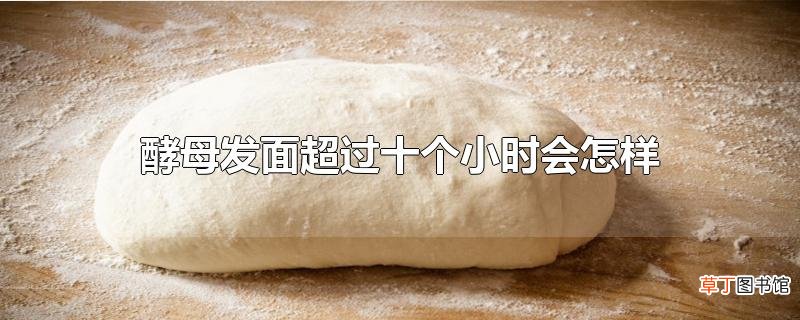 酵母发面超过十个小时会怎样