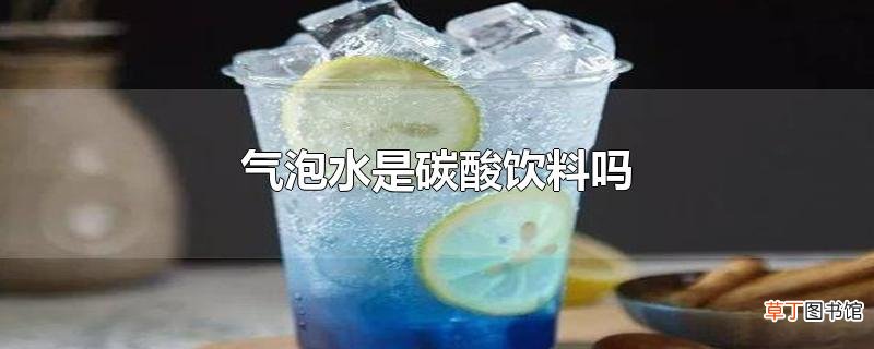 气泡水是碳酸饮料吗