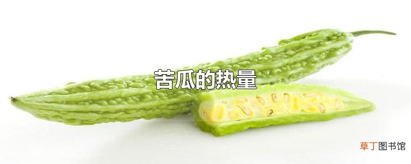 苦瓜的热量