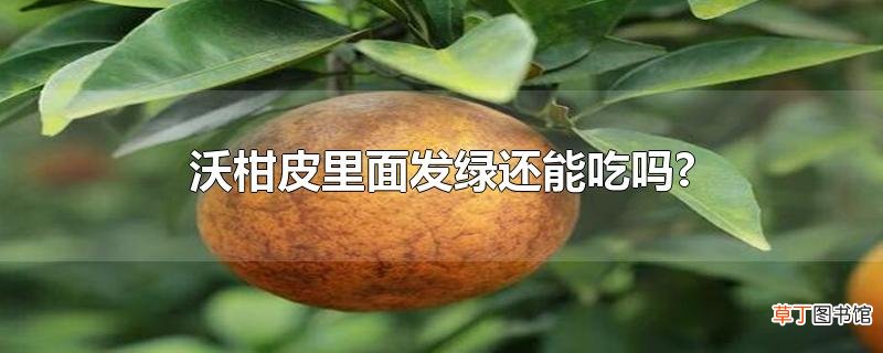 沃柑皮里面发绿还能吃吗?