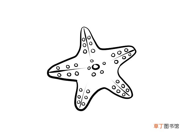 海星简笔画 海星简笔画画法