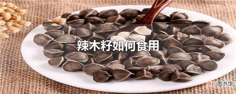 辣木籽怎么食用