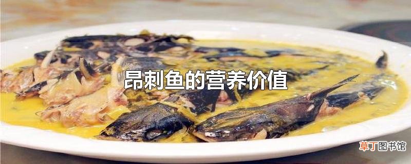 昂刺鱼的营养价值