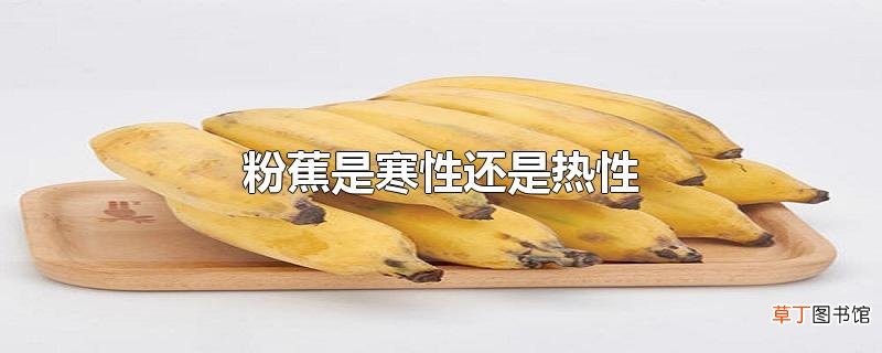 粉蕉是寒性还是热性