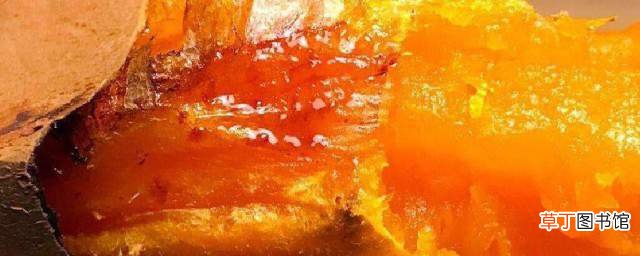 柴火烤红薯教程 柴火烤红薯怎么做呢