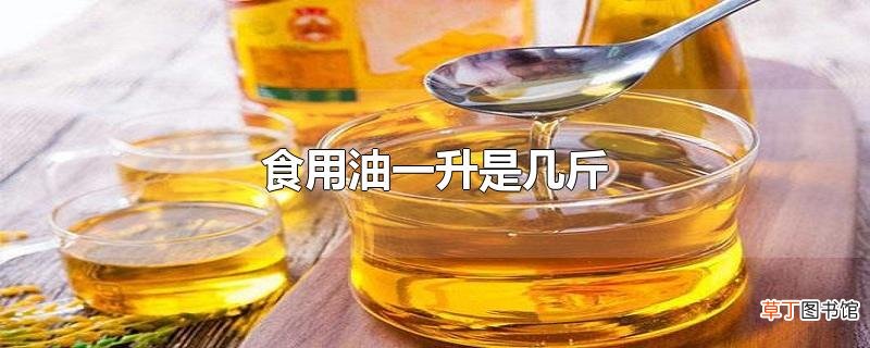 食用油一升是几斤