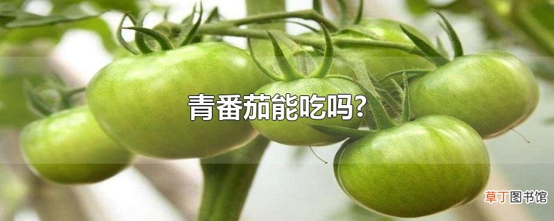 青番茄能吃吗?