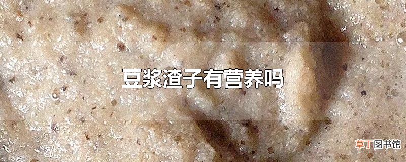 豆浆渣子有营养吗