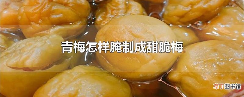 青梅怎样腌制成甜脆梅