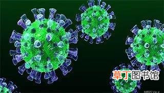 新型冠状病毒多久能好-新型冠状病毒什么时候能好转