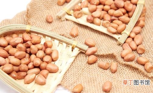 花生有毒教你安心食用小妙招 花生的保健食谱推荐