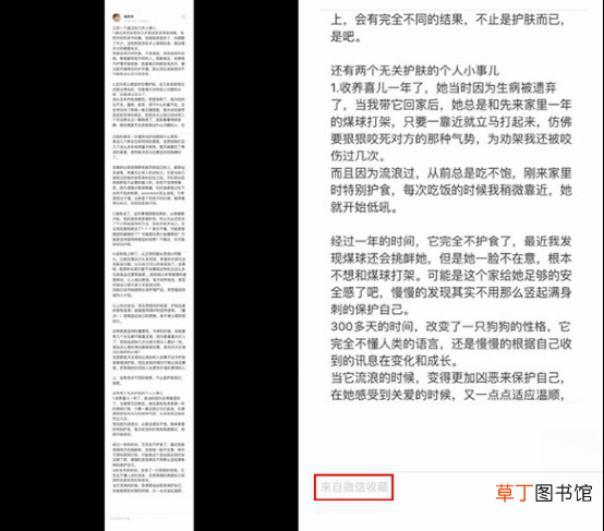 微信电脑怎么滚动截长图 电脑怎么滚动截长图