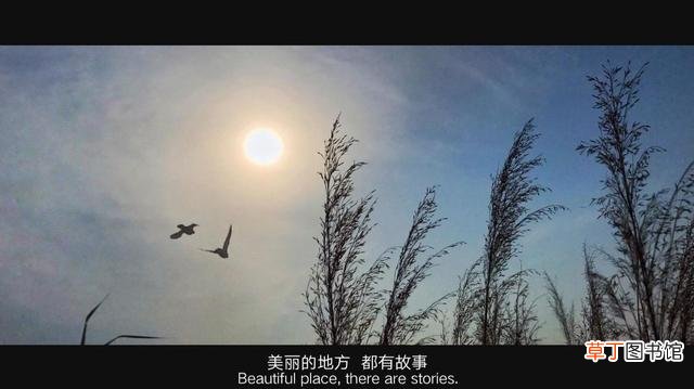 手机图片加水印怎么弄 图片加水印怎么弄