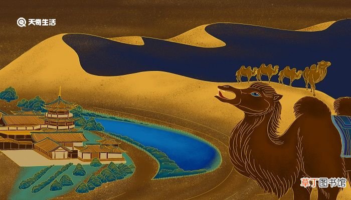 张塞出使西域发生哪里 张骞通西域去了哪些地点
