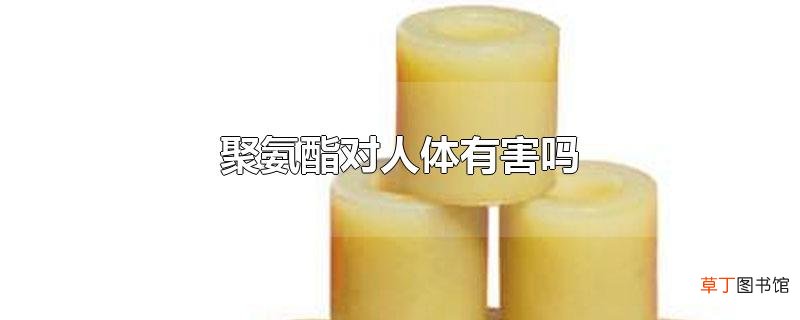 聚氨酯对人体有害吗