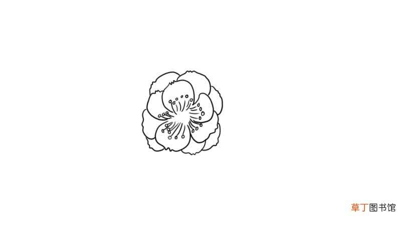 梅花简笔画 梅花怎么画