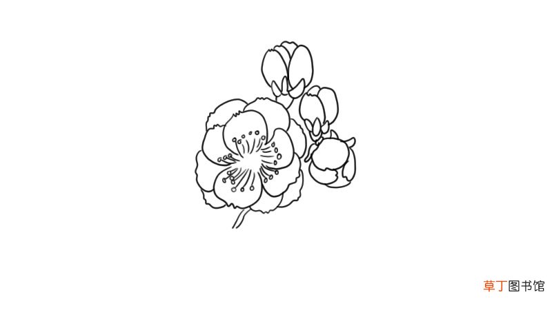 梅花简笔画 梅花怎么画