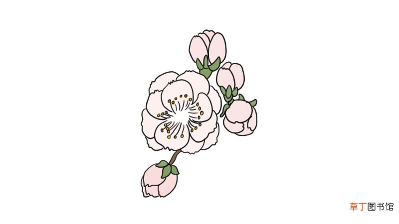 梅花简笔画 梅花怎么画