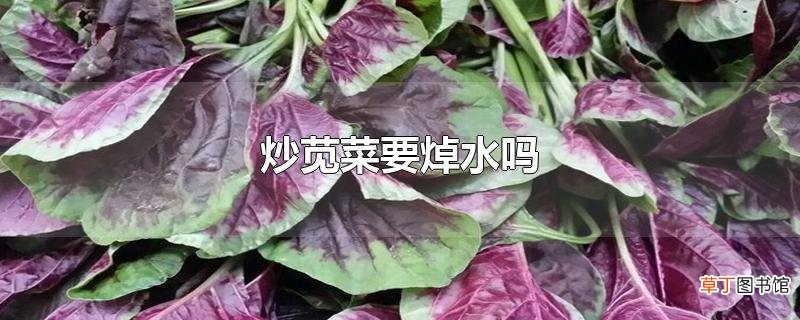 炒苋菜要焯水吗