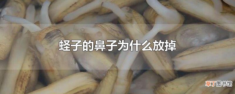 蛏子的鼻子为什么放掉