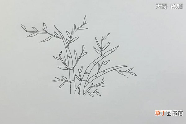 竹子的简笔画