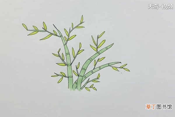 竹子的简笔画