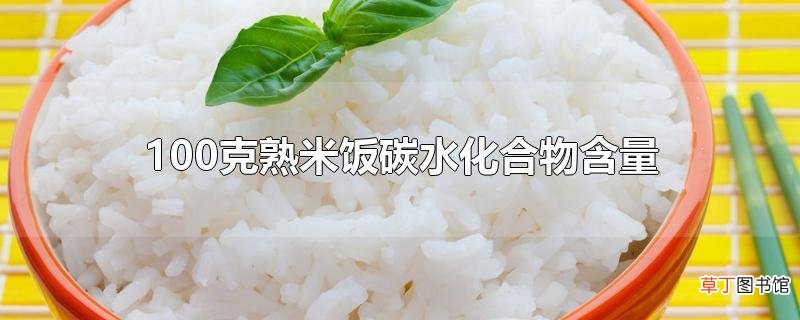 100克熟米饭碳水化合物含量