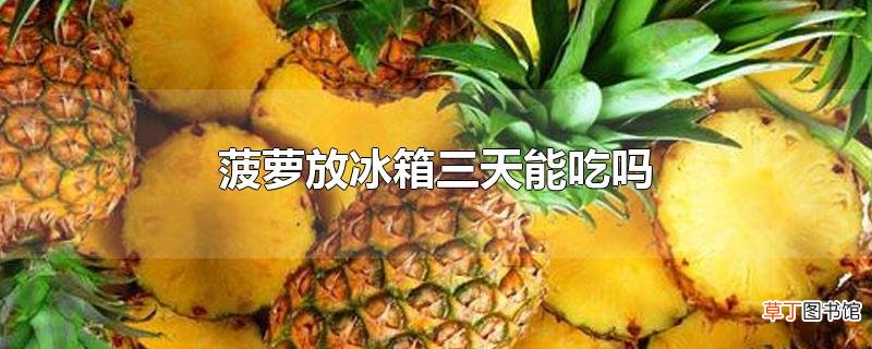 菠萝放冰箱三天能吃吗