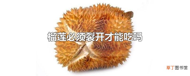 榴莲必须裂开才能吃吗