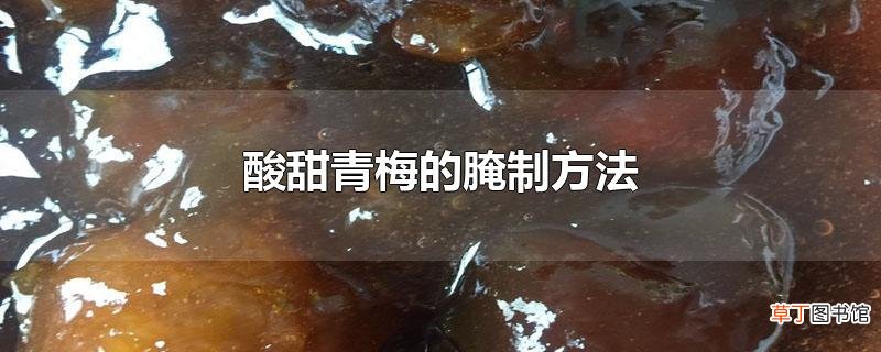 酸甜青梅的腌制方法