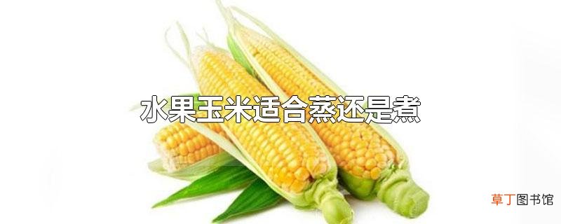 水果玉米适合蒸还是煮