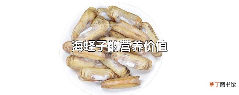 海蛏子的营养价值